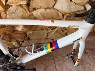 Giant de carretera carbono Rueda delantera Taller