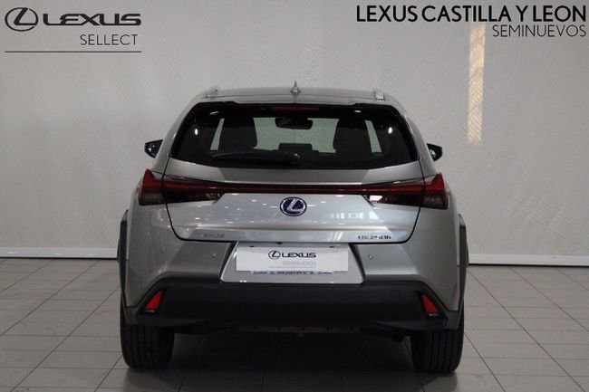 Lexus UX 250h PREMIUM 2021, foto 4