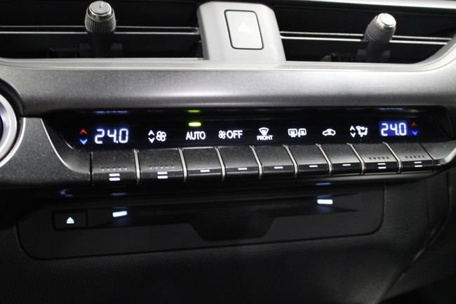 Lexus UX 250h PREMIUM 2021, foto 10