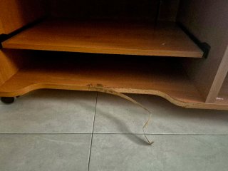 Regalo escritorio