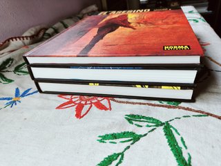 El Asesino Integral. Completa. Norma.