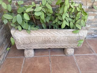 Macetero antiguo piedra tallada con olla carnosa