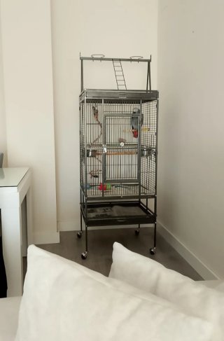 Jaula Grande para Loros - 174cm