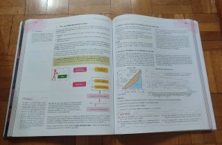 Economía 1.o Bachillerato