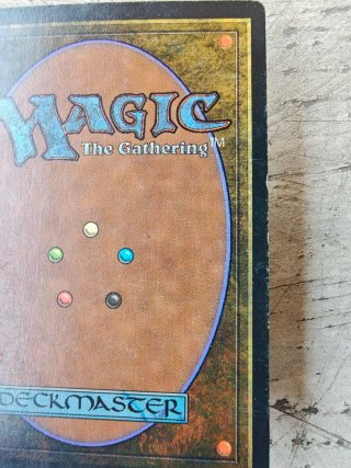 Scrubland MTG Tierra Doble