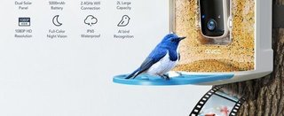 Comedero Pájaros con Cámara HD