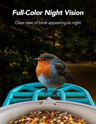 Comedero Pájaros con Cámara HD