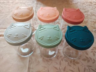 6 Botes Cristal Borosilicato Babymoov 250ml