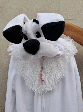 Disfraz Idefix Dogmatix niño 116 cm