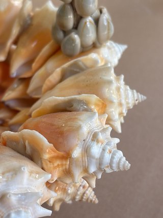 Cesta decorativa de conchas marinas
