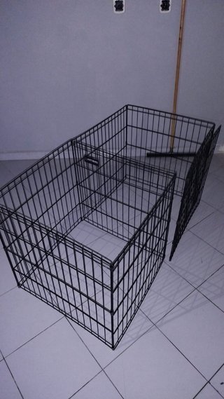 Parque de perros