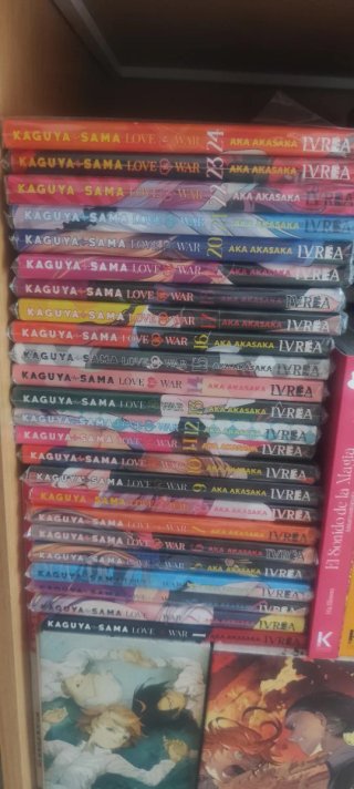 Kaguya Sama Love Is War 1-24 con fundas
