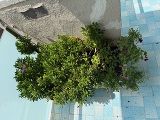Jardinera de madera 90x40