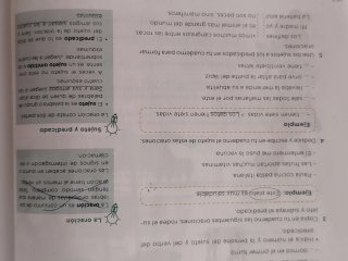 3 libros lengua 5°primaria Anaya