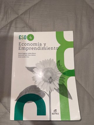 Economía y emprendimiento 4º ESO