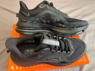 Nike Pegasus Premium CM Negras