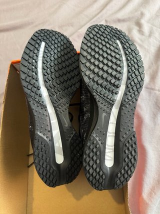 Nike Pegasus Premium CM Negras