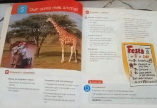 Llengua catalana, 3 Primària Projecte Saber fer...
