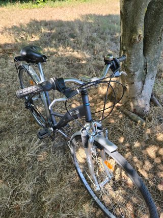 Bici da città Decathlon 4thlon 28