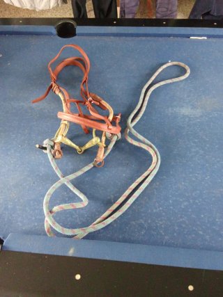 Cabezada completa para caballo