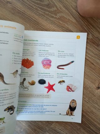 Coneixement del medi natural, 6 Primària Projec...