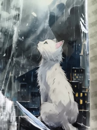 Funda Xiaomi Redmi Note 11/11s Gato Luna