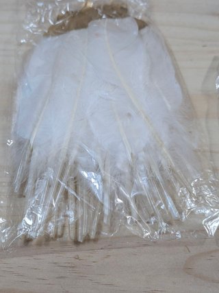 Plumas Mwoot Blancas Punta Dorada 40uds 2 Tamaños
