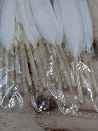 Plumas Mwoot Blancas Punta Dorada 40uds 2 Tamaños