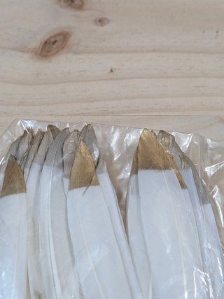 Plumas Mwoot Blancas Punta Dorada 40uds 2 Tamaños