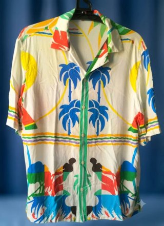 Camisa Hawaiana Unisex Multicolor