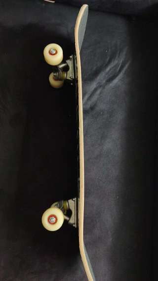 Monopatín Spitfire Basic Skateboard