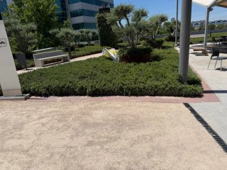 Servicios jardinería
