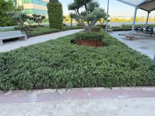 Servicios jardinería