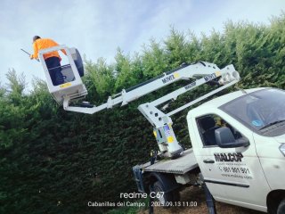 Servicios jardinería