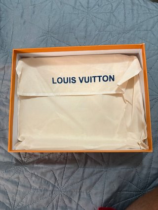 Bandolera Louis Vuitton Gris