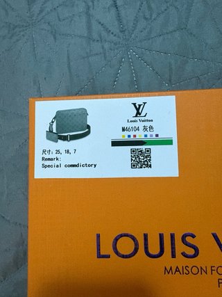 Bandolera Louis Vuitton Gris