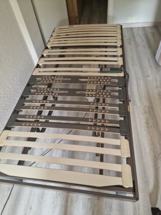 Somier Articulado Eléctrico DORWIN