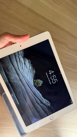 Apple iPad Air 2 Blanco