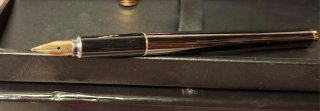 Penna stilografica Aurora - Made in Italy