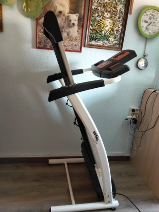 Cinta estática Vital Gym