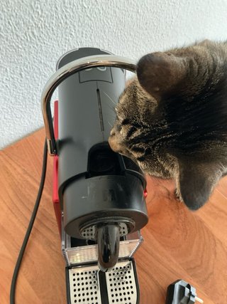 Cafetera Nespresso Pixie rojo Krups