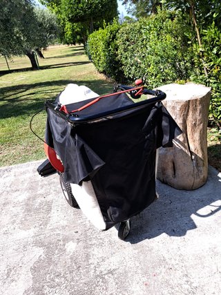 Aspirafoglie Benassi AF Trazionato