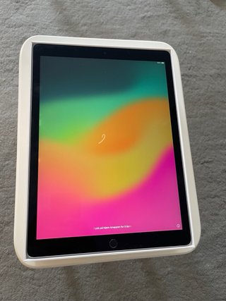 iPad Pro 1ª Gen 256GB Plata Caja Cables