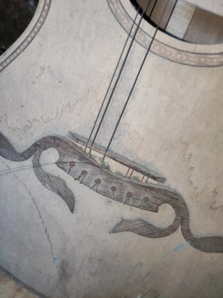 Viola Portuguesa Folk