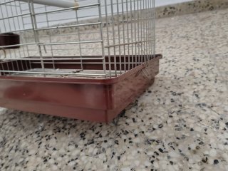 Jaula para loro/cacatúa