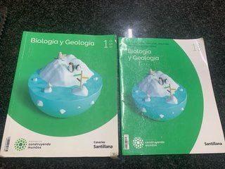 libros escolares