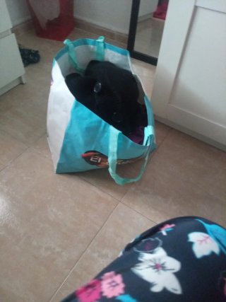 Bolsa Ropa Mujer Tallas Grandes XXL XXXL 50