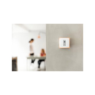 Netatmo NTH-ES-EC termostato inteligente ahorro