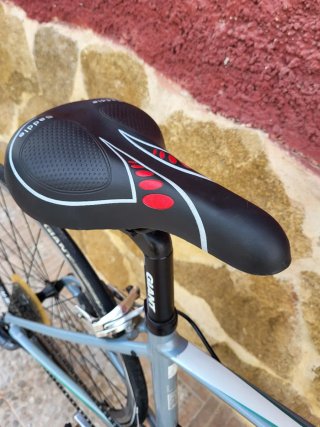 Bicicleta Giant Liv 4