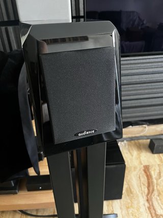 Audience 1+1 v2+ Altavoces